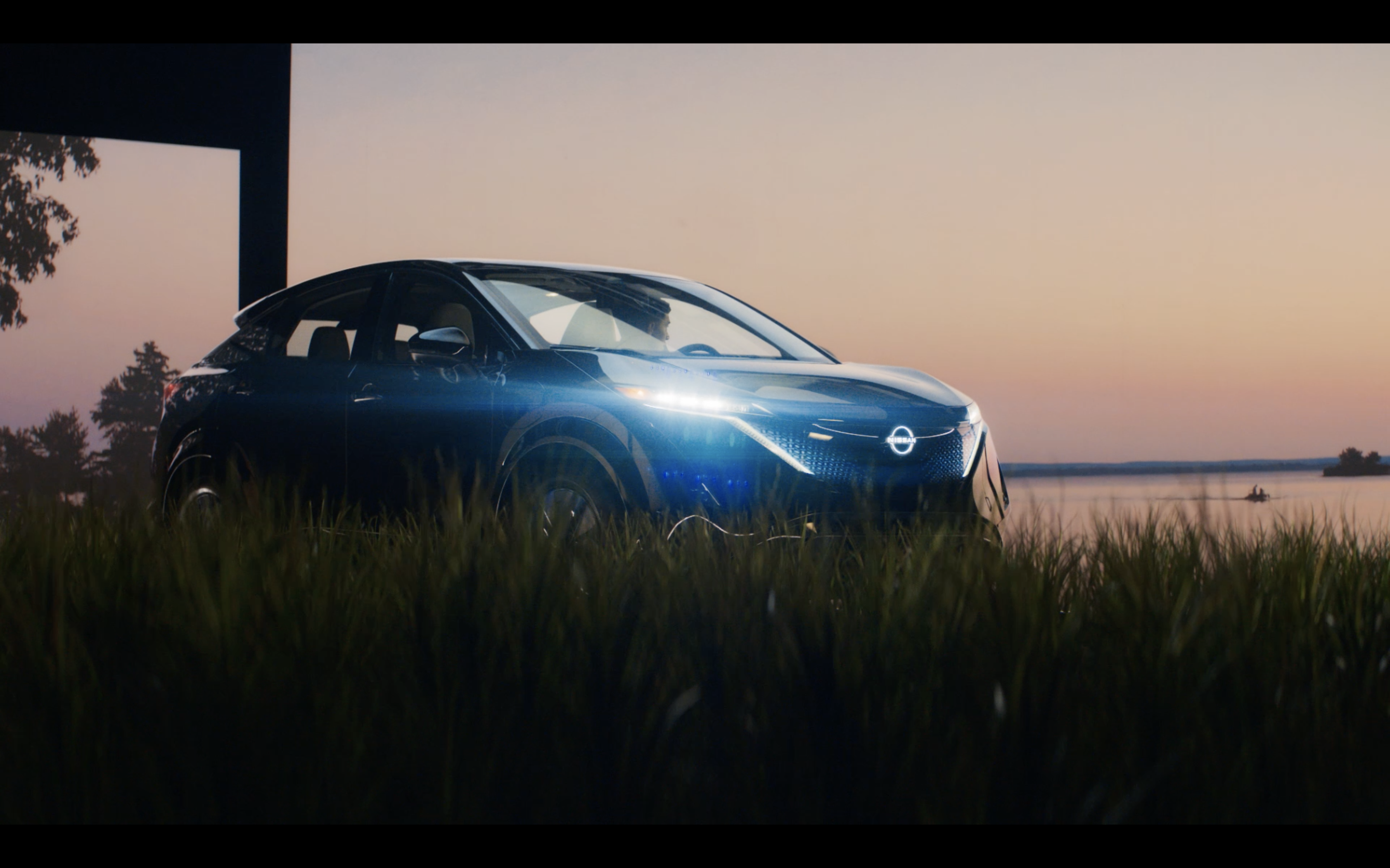 Side view of a Nissan ARIYA parked in a scenic grassy area during sunset